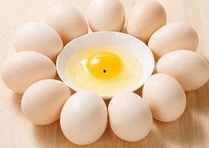 怎么孵化国产纯佛蛋视频,视频带你走进佛蛋世界