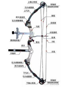国产复合弓介绍视频,匠心独运，引领射击运动新风尚