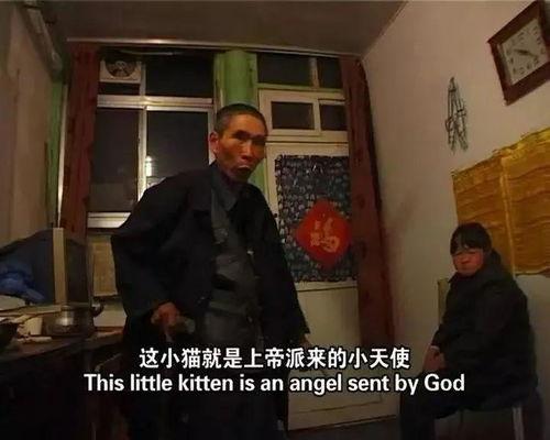 国产底层人物纪录片视频,平凡中的伟大身影