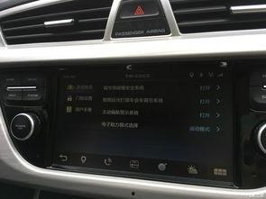 女子驾驶国产车视频播放,女子驾驶视频引关注