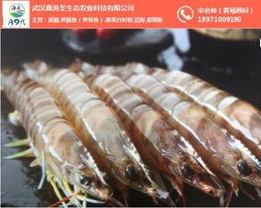 国产青虾直播视频,探秘水族养殖新风尚