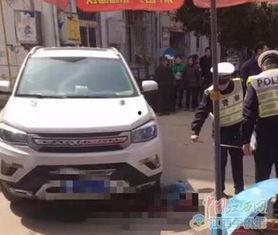 国产小车视频女生儿童,萌娃亲子时光温馨瞬间