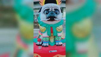 国产小青蛙视频在那看