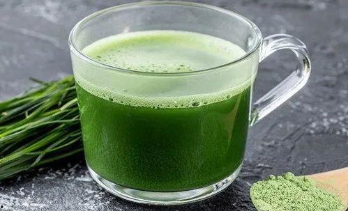 青汁国产抹茶推荐视频,绿色健康，品味生活新选择